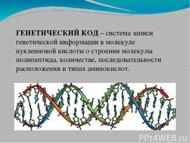 ГЕНЕТИЧЕСКИЙ КОД – система записи генетической информации в молекуле нуклеиновой кислоты о строении молекулы полипептида, количестве, последовательности расположения и типах аминокислот.