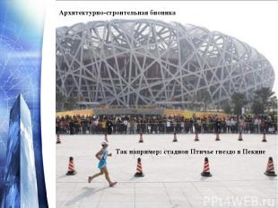 Так например: стадион Птичье гнездо в Пекине Архитектурно-строительная бионика