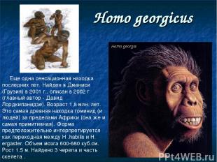Homo georgicus Еще одна сенсационная находка последних лет. Найден в Дманиси (Гр