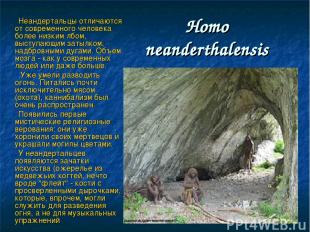 Нomo neanderthalensis Неандертальцы отличаются от современного человека более ни