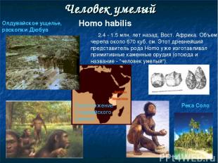 Человек умелый Homo habilis 2.4 - 1.5 млн. лет назад, Вост. Африка. Объем черепа