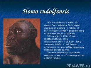 Homo rudolfensis Homo rudolfensis 1.8 млн. лет назад, Вост. Африка. Этот череп с