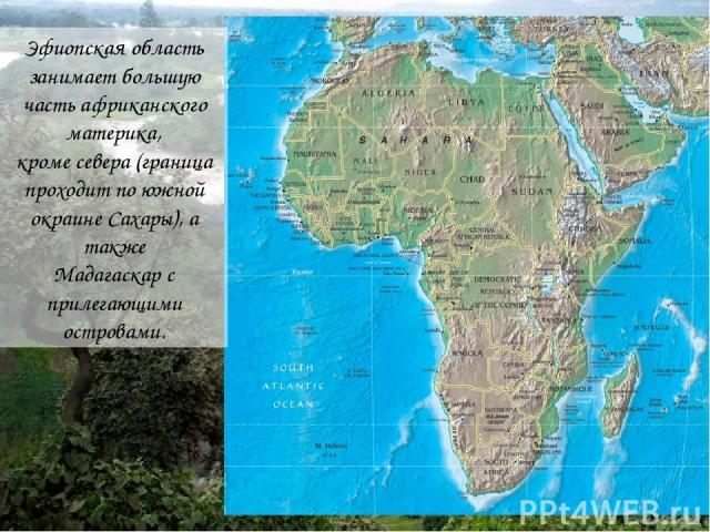 Эфиопская область занимает большую часть африканского материка, кроме севера (граница проходит по южной окраине Сахары), а также Мадагаскар с прилегающими островами.