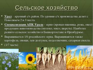 Сельское хозяйство Урал – крупный с/х район. По уровню с/х производства делит с