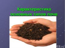 Характеристика основных типов почв в России