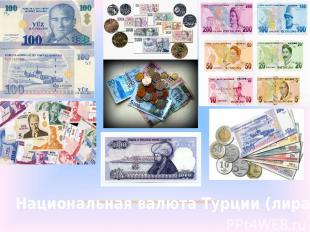 Национальная валюта Турции (лира)