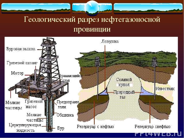 Геологический разрез нефтегазоносной провинции