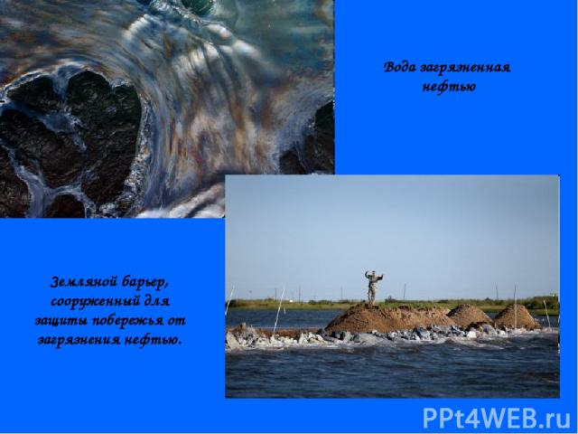 Вода загрязненная нефтью Земляной барьер, сооруженный для защиты побережья от загрязнения нефтью.