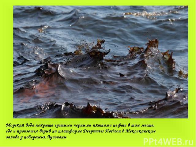                                                                       Морская вода покрыта густыми черными пятнами нефти в том месте, где и произошел взрыв на платформе Deepwater Horizon в Мексиканском заливе у побережья Луизианы