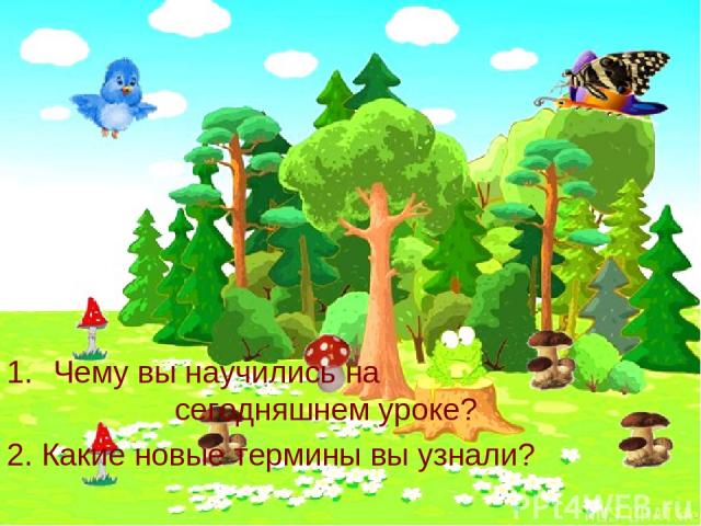 Чему вы научились на сегодняшнем уроке? 2. Какие новые термины вы узнали?