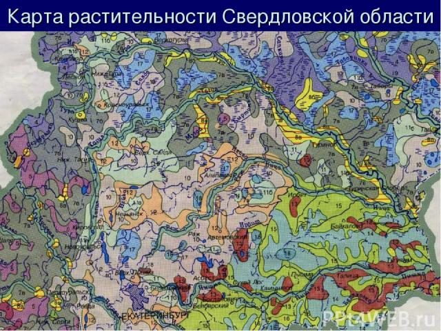 Карта растительности Свердловской области