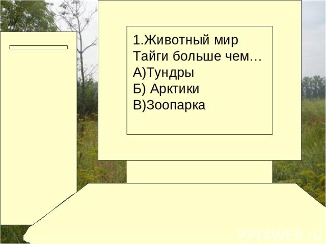 1.Животный мир Тайги больше чем… А)Тундры Б) Арктики В)Зоопарка