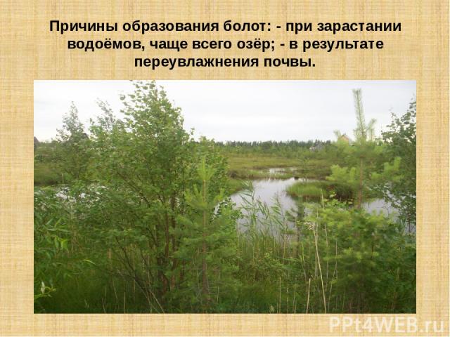 Причины образования болот: - при зарастании водоёмов, чаще всего озёр; - в результате переувлажнения почвы.