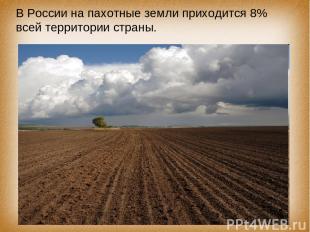 В России на пахотные земли приходится 8% всей территории страны.