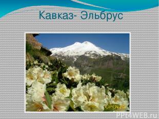 Кавказ- Эльбрус