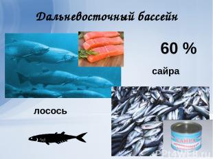Дальневосточный бассейн сайра лосось 60 %