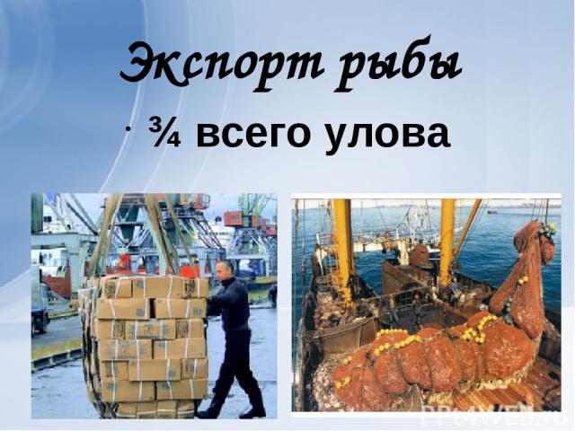 Экспорт рыбы ¾ всего улова