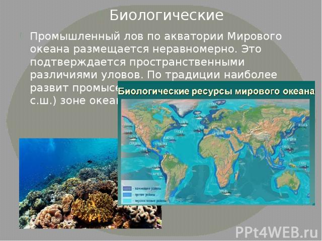 Биологические Промышленный лов по акватории Мирового океана размещается неравномерно. Это подтверждается пространственными различиями уловов. По традиции наиболее развит промысел в северной (к северу от 30° с.ш.) зоне океана.