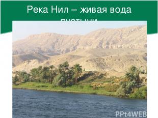 Река Нил – живая вода пустыни