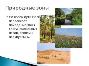 На своем пути Волга пересекает природные зоны тайги, смешанных лесов, степей и п