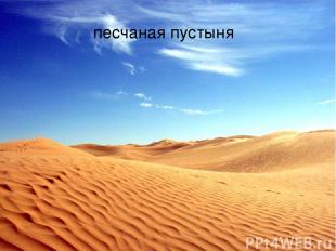 Песчаная пустыня песчаная пустыня
