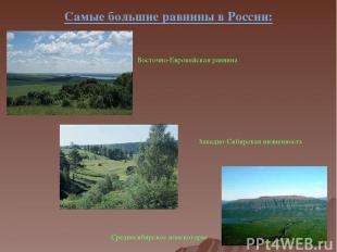 Самые большие равнины в России: Восточно-Европейская равнина Западно-Сибирская н
