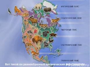 Вот такой он разнообразный органический мир Северной Америки