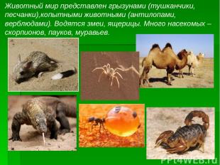 Животный мир представлен грызунами (тушканчики, песчанки),копытными животными (а
