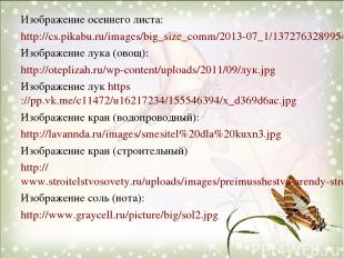Изображение осеннего листа: http://cs.pikabu.ru/images/big_size_comm/2013-07_1/1