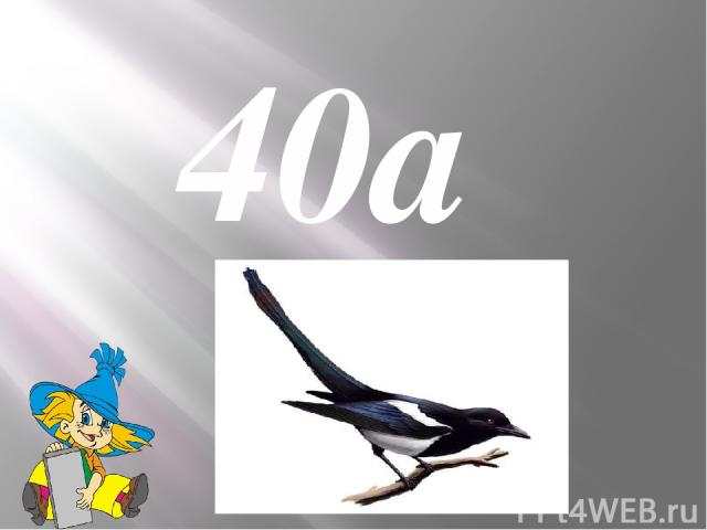 40а