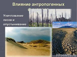 Влияние антропогенных факторов Уничтожение лесов и опустынивание