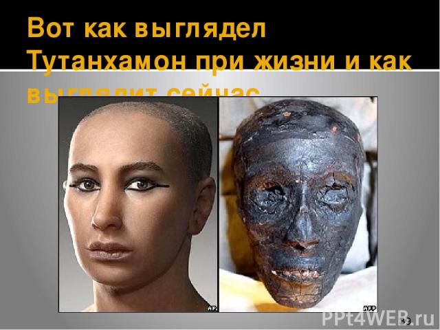 Вот как выглядел Тутанхамон при жизни и как выглядит сейчас.