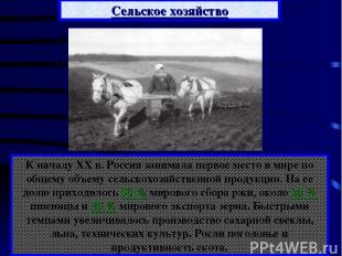 К началу XX в. Россия занимала первое место в мире по общему объему сельскохозяй