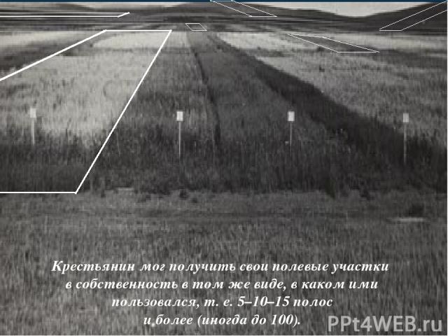 Крестьянин мог получить свои полевые участки в собственность в том же виде, в каком ими пользовался, т. е. 5–10–15 полос и более (иногда до 100).