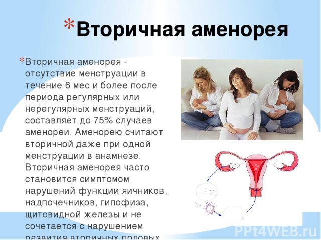 Вторичная аменорея Вторичная аменорея - отсутствие менструации в течение 6 мес и более после периода регулярных или нерегулярных менструаций, составляет до 75% случаев аменореи. Аменорею считают вторичной даже при одной менструации в анамнезе. Втори…
