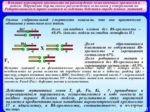 Влияние перестроек хромосомы на расхождение гомологичных хромосом в мейозе. Нару