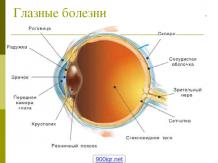 Глазные болезни