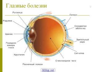 Глазные болезни 900igr.net