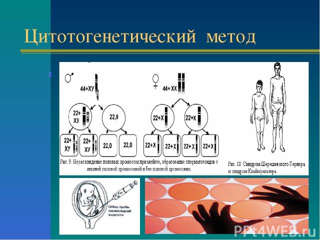 Цитотогенетический метод