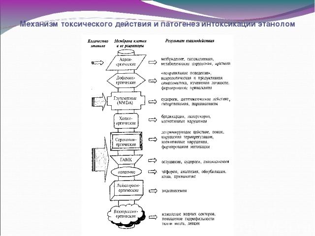 Механизм токсического действия и патогенез интоксикации этанолом