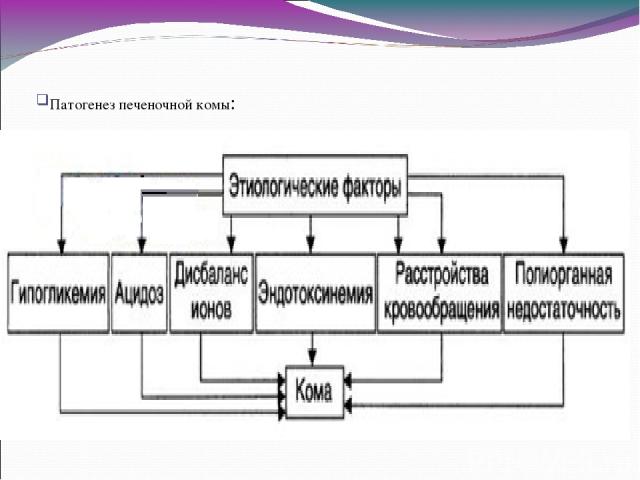 Патогенез печеночной комы: