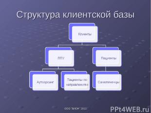 Структура клиентской базы ООО "БИОН" 2011 ООО "БИОН" 2011