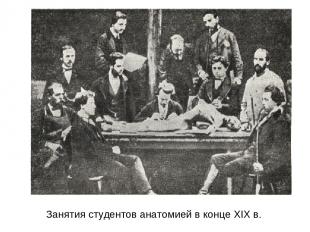 Занятия студентов анатомией в конце XIX в.