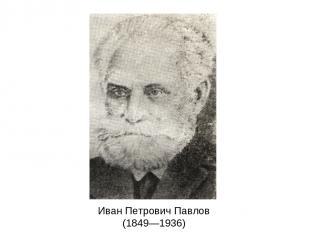 Иван Петрович Павлов (1849—1936)