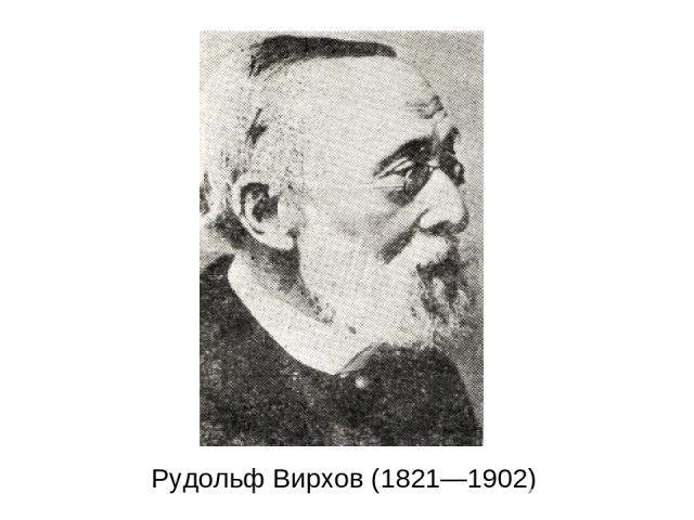 Рудольф Вирхов (1821—1902)