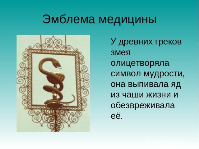Эмблема медицины У древних греков змея олицетворяла символ мудрости, она выпивала яд из чаши жизни и обезвреживала её.