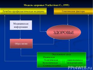 Модель здоровья (Varkevisser C., 1995) Лечебно-профилактическая медицина Генетич