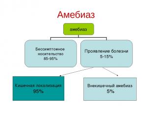 Амебиаз Кишечная локализация 95% Внекишечный амебиаз 5%