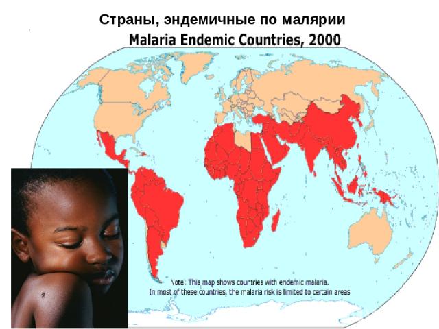 Страны, эндемичные по малярии