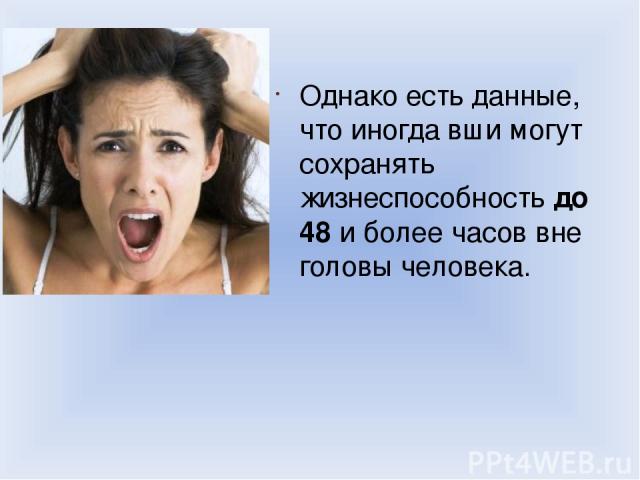 Однако есть данные, что иногда вши могут сохранять жизнеспособность до 48 и более часов вне головы человека.